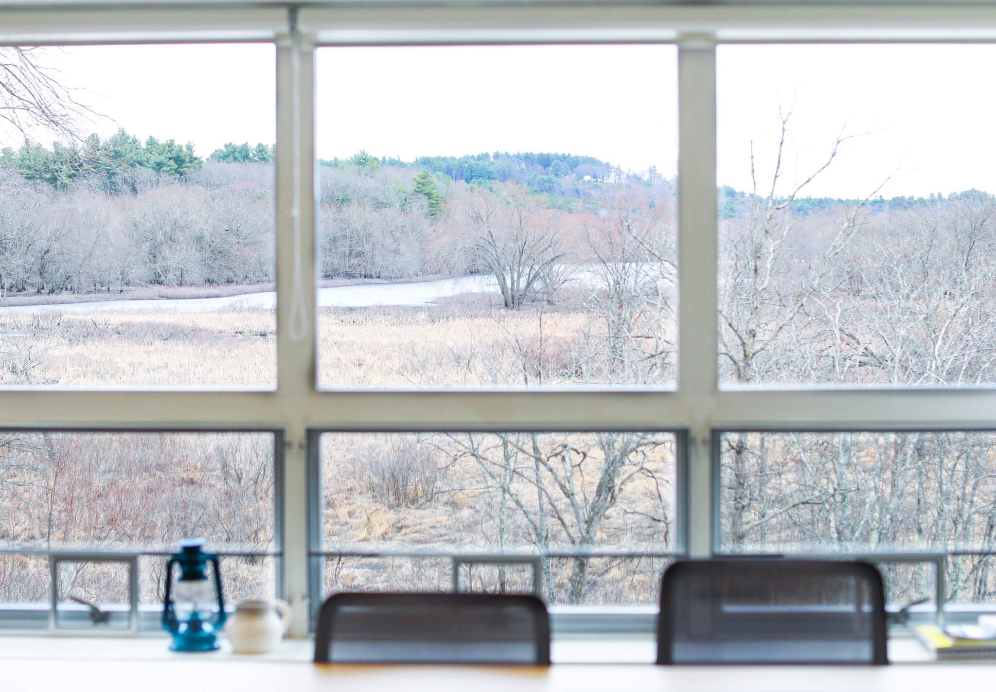 View from Art Studio at Newbury Court